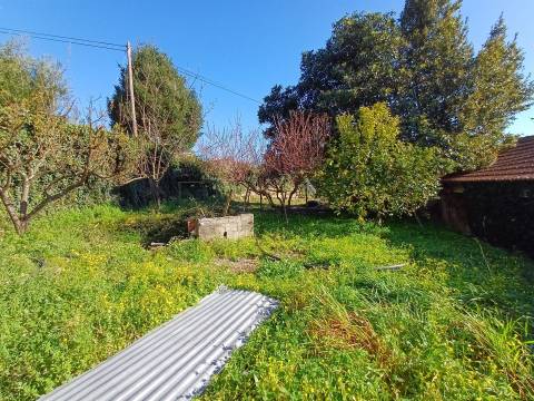 Quinta  Venda em Rio Torto e Lagarinhos,Gouveia