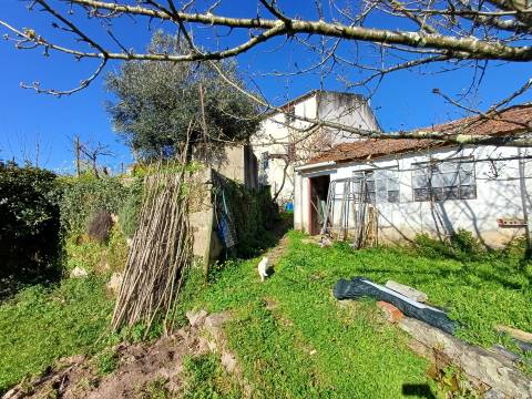 Quinta  Venda em Rio Torto e Lagarinhos,Gouveia