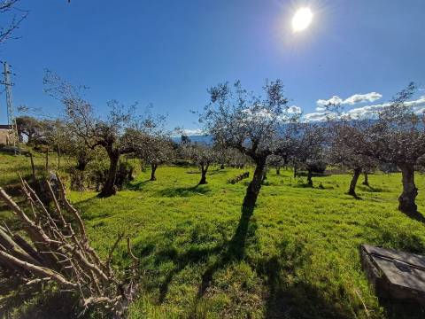 Quinta  Venda em Rio Torto e Lagarinhos,Gouveia