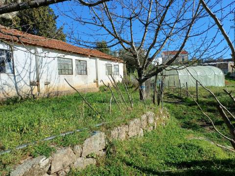 Quinta  Venda em Rio Torto e Lagarinhos,Gouveia