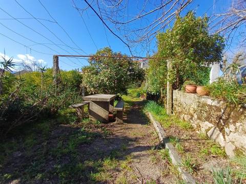 Quinta  Venda em Rio Torto e Lagarinhos,Gouveia