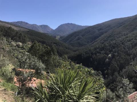 Quintinha  Venda em Vide e Cabeça,Seia