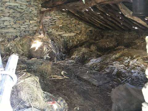 Quintinha  Venda em Vide e Cabeça,Seia