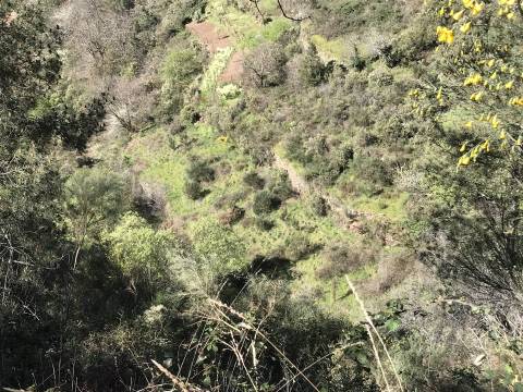 Quintinha  Venda em Loriga,Seia