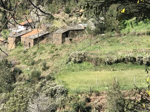 Quintinha  Venda em Loriga,Seia