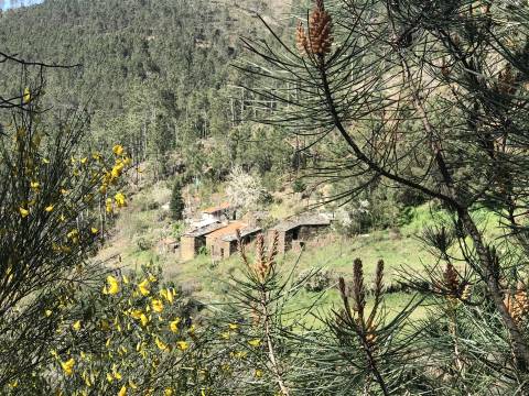 Quintinha  Venda em Loriga,Seia