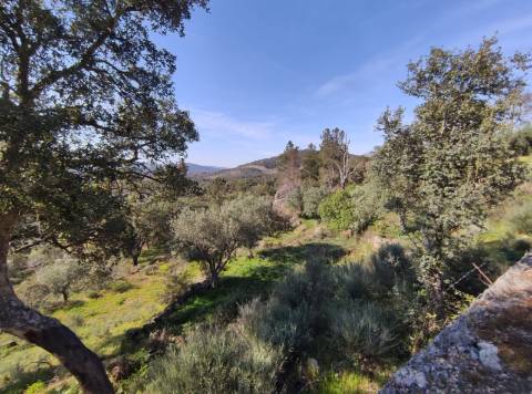 Quintinha  Venda em Sobral da Serra,Guarda