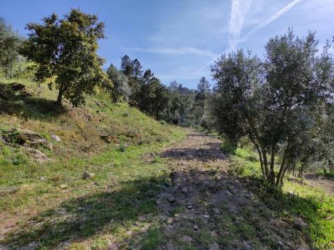 Quintinha  Venda em Sobral da Serra,Guarda