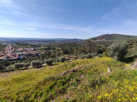 Quintinha  Venda em Sobral da Serra,Guarda