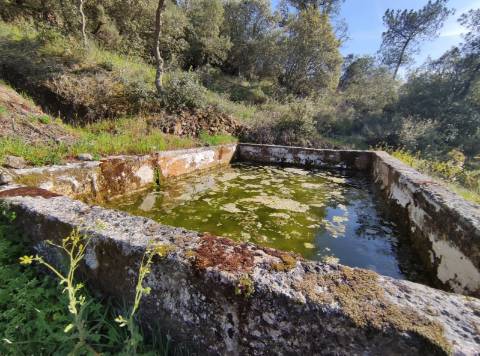 Quintinha  Venda em Sobral da Serra,Guarda
