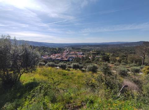 Quintinha  Venda em Sobral da Serra,Guarda