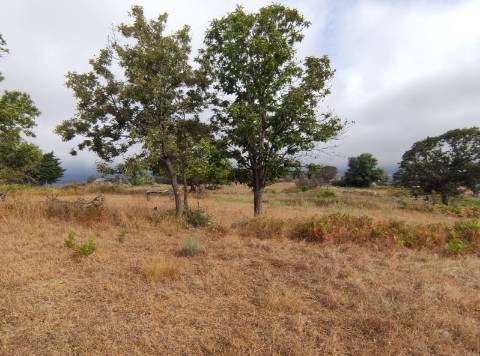 Quintinha  Venda em Figueiró da Serra e Freixo da Serra,Gouveia