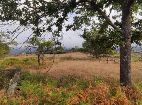 Quintinha  Venda em Figueiró da Serra e Freixo da Serra,Gouveia