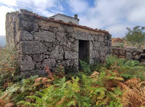 Quintinha  Venda em Figueiró da Serra e Freixo da Serra,Gouveia