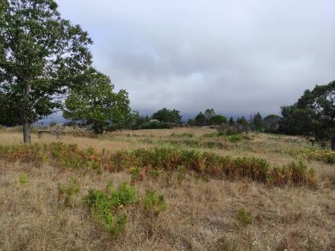 Quintinha  Venda em Figueiró da Serra e Freixo da Serra,Gouveia