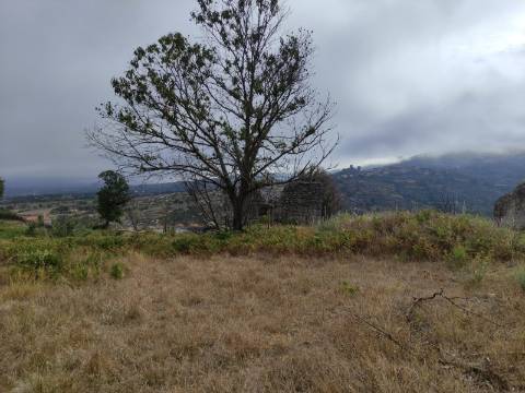 Quintinha  Venda em Figueiró da Serra e Freixo da Serra,Gouveia