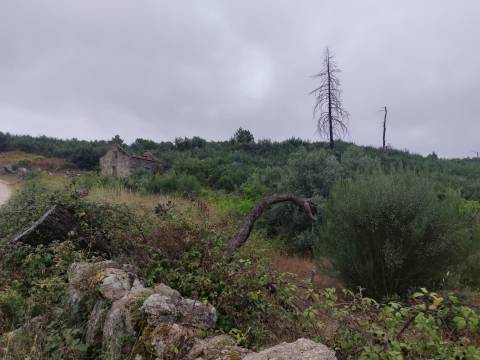 Quintinha para habitação