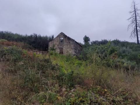 Quintinha para habitação