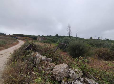 Quintinha para habitação