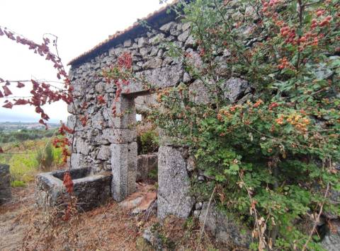 Quintinha para habitação