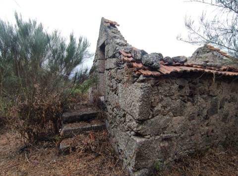 Quintinha para habitação
