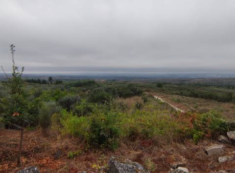 Quintinha para habitação