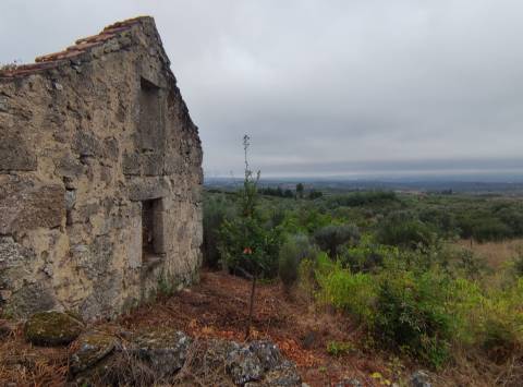 Quintinha para habitação