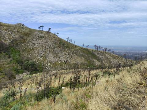 Quinta  Venda em Figueiró da Serra e Freixo da Serra,Gouveia