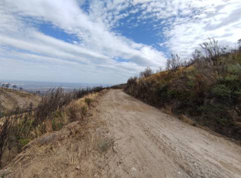 Quinta  Venda em Figueiró da Serra e Freixo da Serra,Gouveia