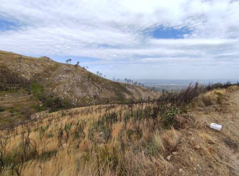 Quinta  Venda em Figueiró da Serra e Freixo da Serra,Gouveia
