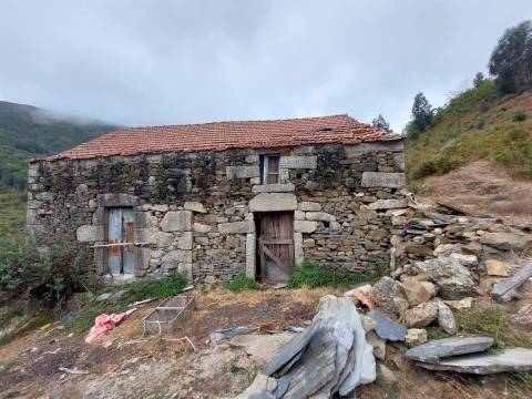 Quinta  Venda em Loriga,Seia