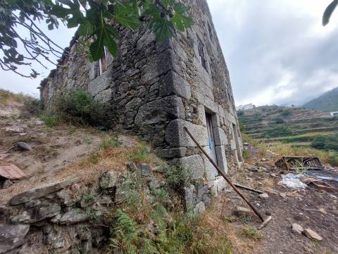 Quinta  Venda em Loriga,Seia