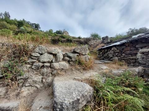 Quinta  Venda em Loriga,Seia
