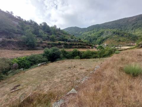 Quinta  Venda em Loriga,Seia