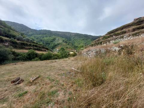 Quinta  Venda em Loriga,Seia