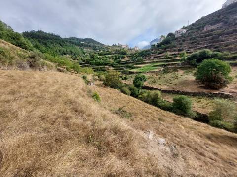 Quinta  Venda em Loriga,Seia