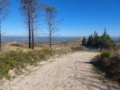Quinta  Venda em Figueiró da Serra e Freixo da Serra,Gouveia