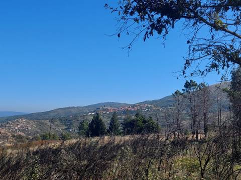 Quinta  Venda em Figueiró da Serra e Freixo da Serra,Gouveia