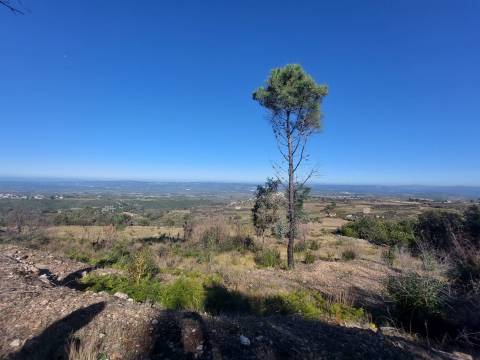 Quinta  Venda em Figueiró da Serra e Freixo da Serra,Gouveia
