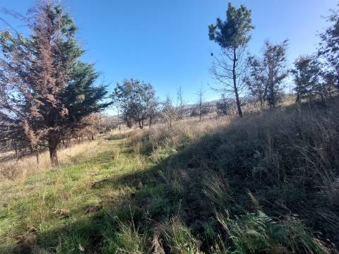 Quinta  Venda em Figueiró da Serra e Freixo da Serra,Gouveia
