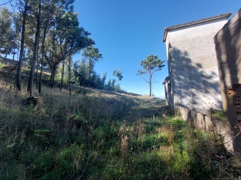 Quinta  Venda em Figueiró da Serra e Freixo da Serra,Gouveia