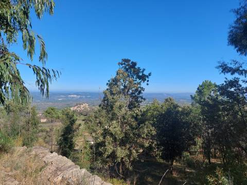 Quinta  Venda em Figueiró da Serra e Freixo da Serra,Gouveia