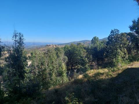 Quinta  Venda em Figueiró da Serra e Freixo da Serra,Gouveia