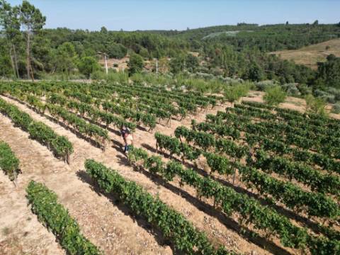Quinta T0 Venda em Antas e Matela,Penalva do Castelo