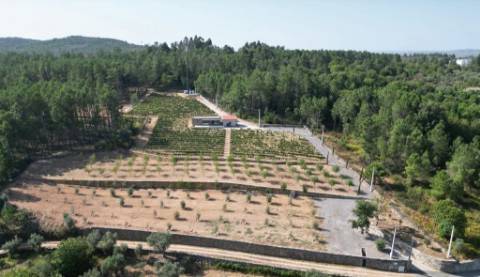 Quinta T0 Venda em Antas e Matela,Penalva do Castelo
