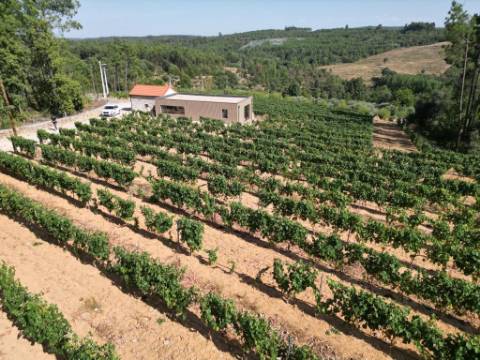 Quinta T0 Venda em Antas e Matela,Penalva do Castelo