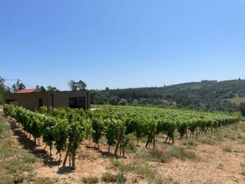 Quinta T0 Venda em Antas e Matela,Penalva do Castelo