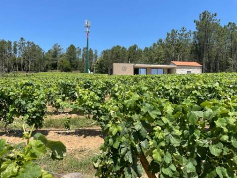 Quinta T0 Venda em Antas e Matela,Penalva do Castelo