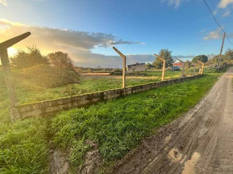 Terreno Rústico  Venda em Santa Comba,Seia