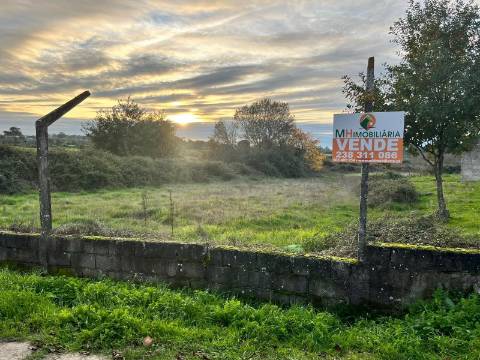 Terreno Rústico  Venda em Santa Comba,Seia